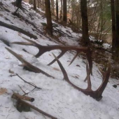 nádherný prvý pohľad