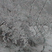 dnešné zahmlené ráno