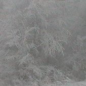 dnešné zahmlené ráno 2