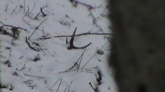 prvý kúsok v r.2011