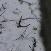 prvý kúsok v r.2011