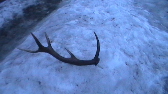 dnes, minuloročný - pár k ID 102937