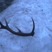 dnes, minuloročný - pár k ID 102937