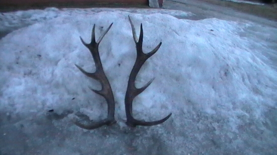 už spolu, rok si poležali