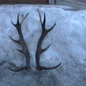 už spolu, rok si poležali