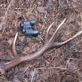 Dnešný upršaný deň.