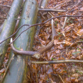 Dnešný upršaný deň - prvý pohľad