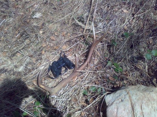 dnešný osmoráčik