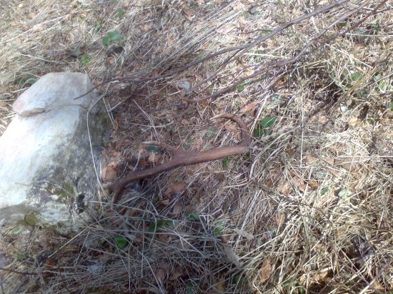 dnešný osmoráčik - takto ležal