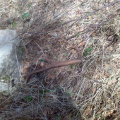 dnešný osmoráčik - takto ležal