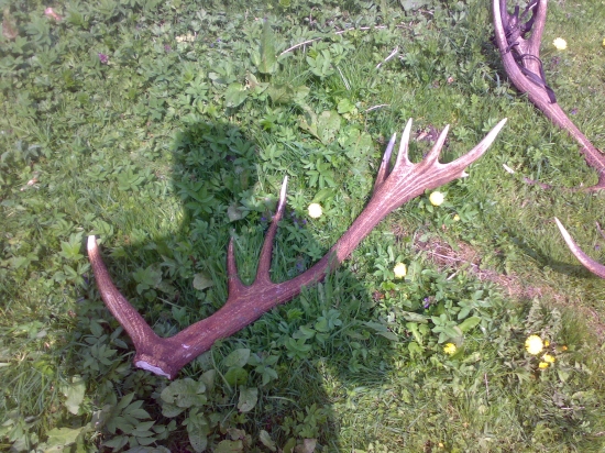 dnešný 16-torák, 2,5 kg