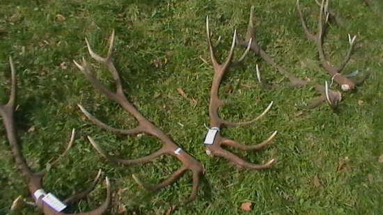 výstava CHPO Poľana