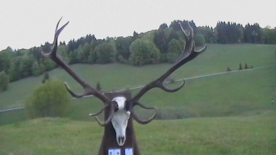 16 rokov, 225,70 CIC