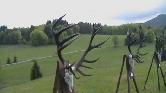 CHPO Poľana; 211,76 CIC