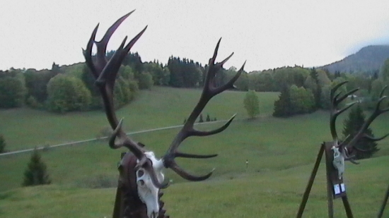 CHPO Poľana; 223,74 CIC