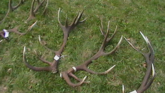 CHPO Poľana, 210,78 CIC