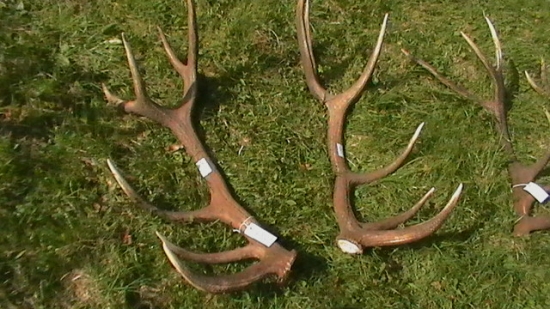 CHPO Poľana, 225,24 CIC