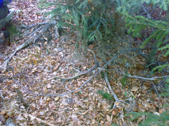 dnes sa opäť zadarilo 1