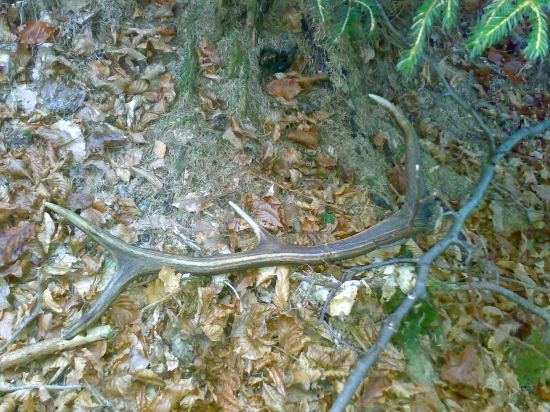 dnes sa opäť zadarilo 2