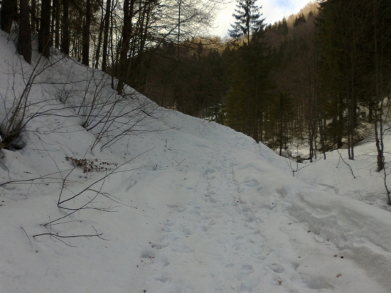 čo prinieslo oteplenie