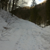 čo prinieslo oteplenie