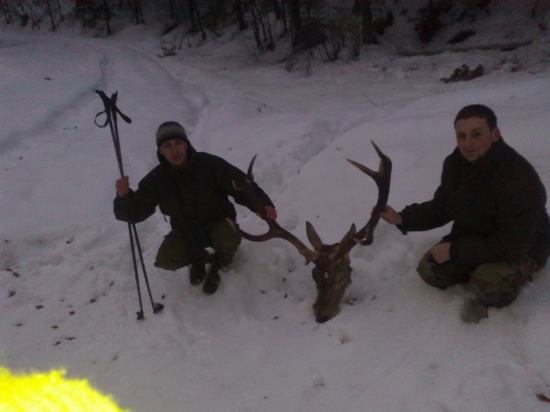 v núdzi poznáš priateľa-ov