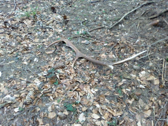 10-torák do páru k ID:160501.