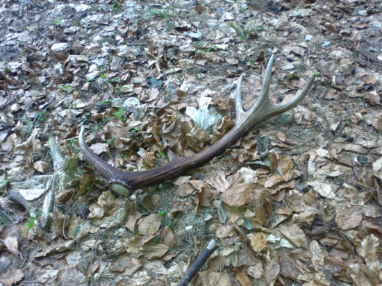 ...opäť od vlani...