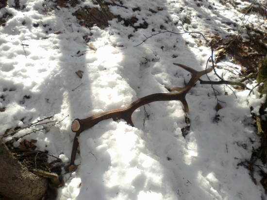 na hrebeni; k ID:199767