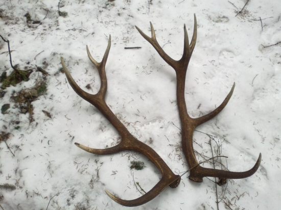 pod zvážnicou - spolu