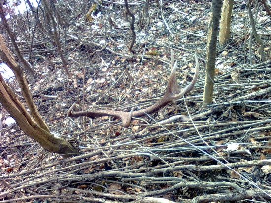 prvý pohľad 2 (pár k predch.)