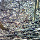 prvý pohľad 2 (pár k predch.)