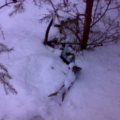 Takmer som ho obišiel (ako Mrnko...)