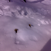 Po dvoch dňoch výdatného sneženia vyšlo konečne slnko...