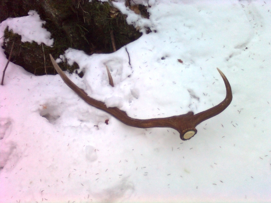 takto ležal pri ceste asi 2 dni