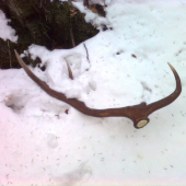 takto ležal pri ceste asi 2 dni