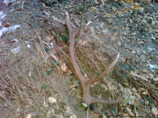 Pár k 95390, na druhej strane cesty.