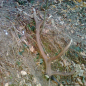 Pár k 95390, na druhej strane cesty.