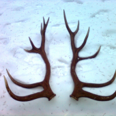 Už spolu, 95390 a 95537.