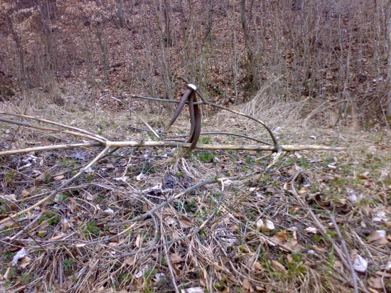 zhodil pri obhrýzaní