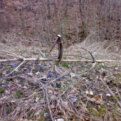 zhodil pri obhrýzaní