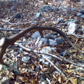 Zhodený na skalách.