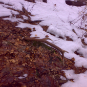 zapadnutý - jeho pár