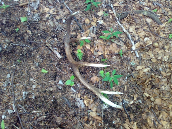 takto som ho našiel