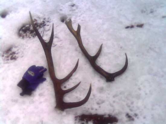 v jeden deň r.2007 /1