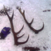 v jeden deň r.2007 /1