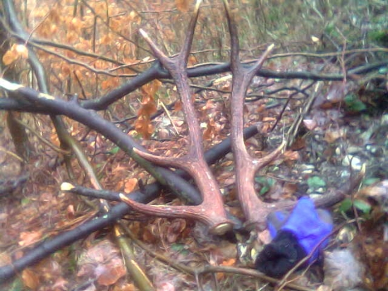 v jeden deň r.2007 /2