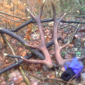 v jeden deň r.2007 /2