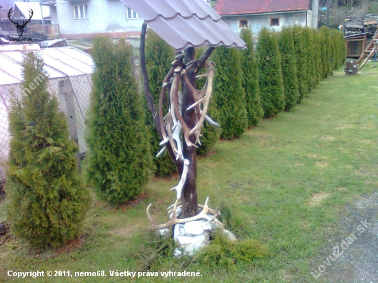 staršie zhody
