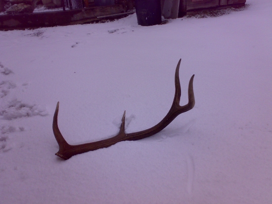 takmer do pravého uhla